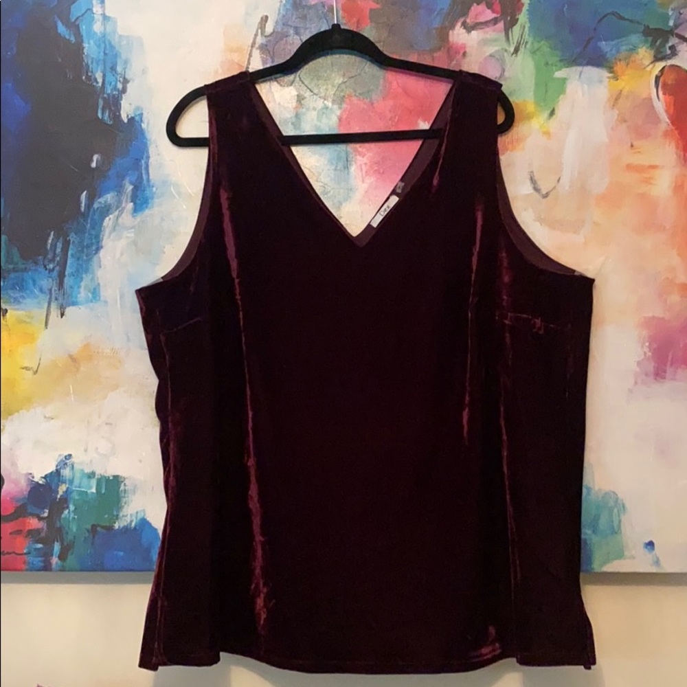 Luxurious velvet Top